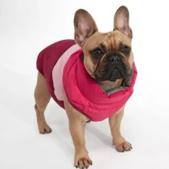 Pooch Padded Dog Coat XS - Raspberry Col Block