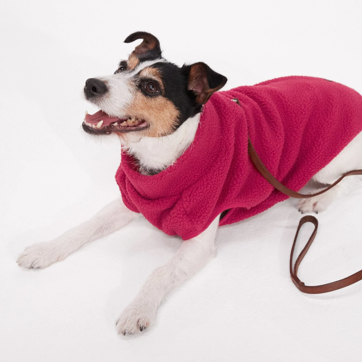 Bow-wow M Sherpa Dog Coat - Cerise - Image 6