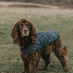 Hound Dog Coat L - Confetti Spot AOP