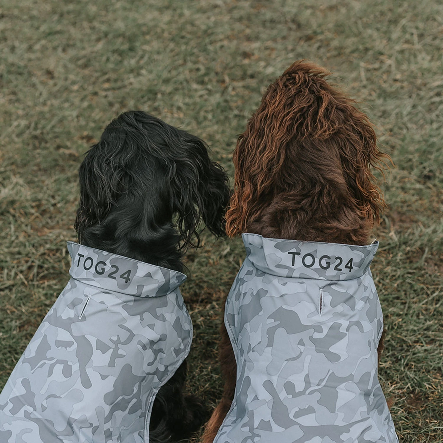 Hound Dog Coat M - Steel Camo AOP - Image 3