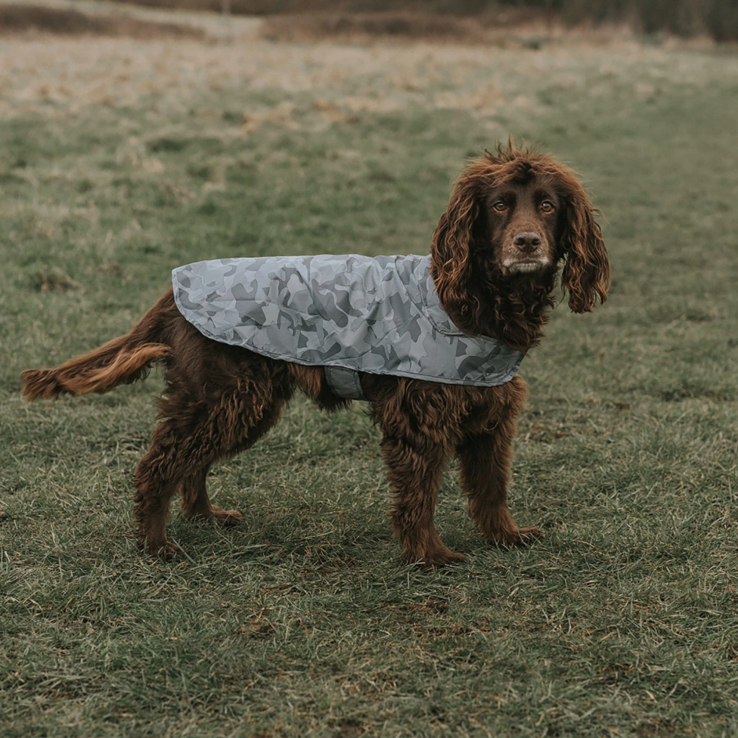Hound Dog Coat M - Steel Camo AOP - Image 2