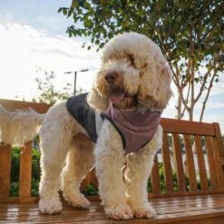 Pooch Padded Dog Coat XS - Faded Pink/Ice Grey/Washed Blue